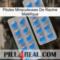 Pilules Miraculeuses De Racine Maléfique 23